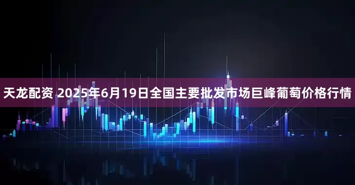 天龙配资 2025年6月19日全国主要批发市场巨峰葡萄价格行情