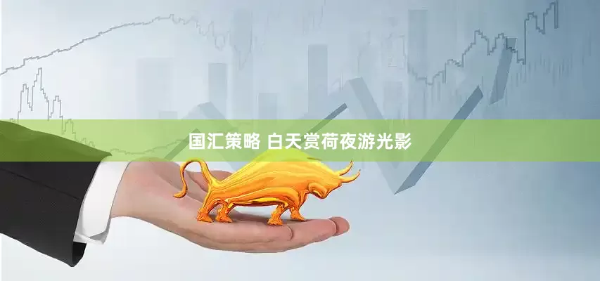 国汇策略 白天赏荷夜游光影