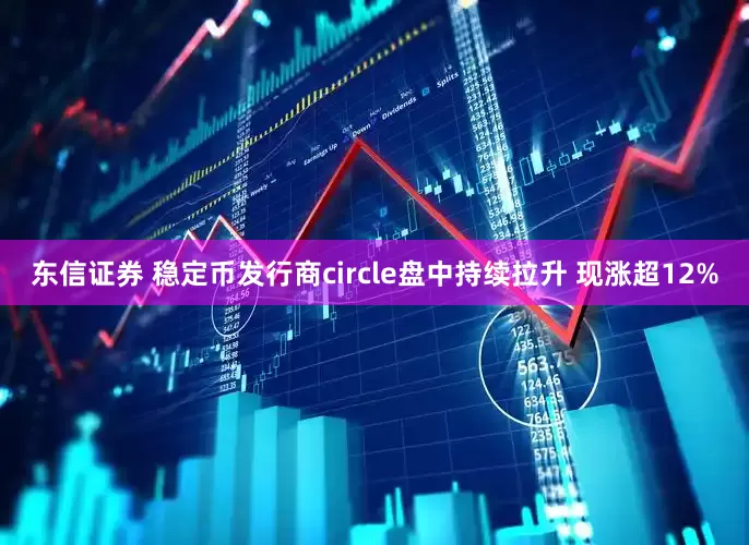 东信证券 稳定币发行商circle盘中持续拉升 现涨超12%