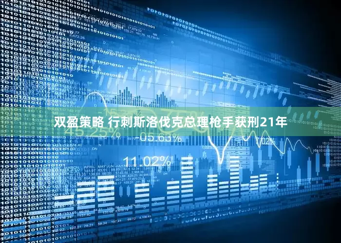 双盈策略 行刺斯洛伐克总理枪手获刑21年